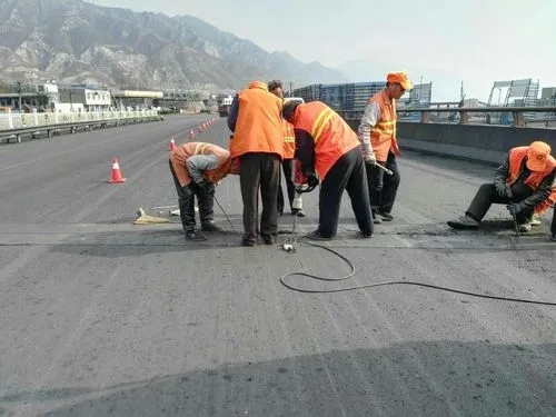 阿拉山口道路桥梁病害治理